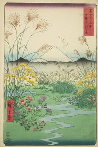 Otsuki-Ebene in der Provinz Kai (Kai Otsuki no hara), aus der Serie "Sechsunddreißig Ansichten des Berges Fuji (Fuji sanjurokkei)" von Utagawa Hiroshige