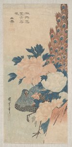 Pfau und Pfingstrosen, ca. 1830