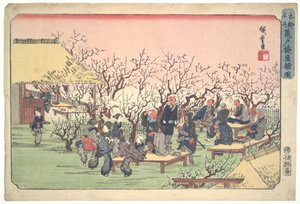 Pflaumenhain in Kameido, aus der Serie Berühmte Orte in der östlichen Hauptstadt von Utagawa Hiroshige