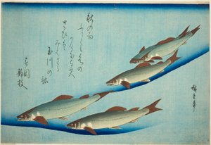 Bachforelle von Utagawa Hiroshige