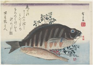 Meerbrasse, Süßfisch und Nandina-Zweige, ca. 1840