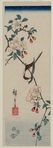 Kleiner Vogel (Schwalbe?) auf Kirschzweig von Utagawa Hiroshige