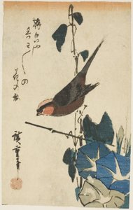 Spatz und Morgenröte von Utagawa Hiroshige