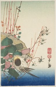 Spatz auf einem hängenden Pflanzgefäß von Utagawa Hiroshige