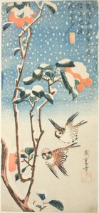Spatzen und Kamelie im Schnee