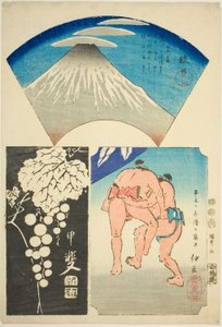 Suruga, Kai und Izu, Nr. 5 aus der Serie "Ausschnitte der Provinzen (Kunizukushi harimaze zue)"