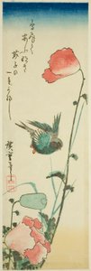 Schwalbe und Mohnblumen von Utagawa Hiroshige