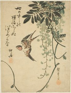 Schwalbe und Glyzinie von Utagawa Hiroshige