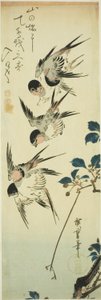 Schwalben und blühender Zweig von Utagawa Hiroshige