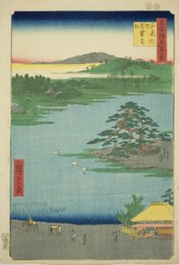 Die Robe-hängende Kiefer am Senzoku-Teich, aus der Serie "Hundert berühmte Ansichten von Edo" von Utagawa Hiroshige
