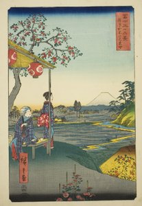 Ansicht des Berges Fuji von einem Teehaus in Zoshigaya (Zoshigaya Fujimi chaya), aus der Serie "Sechsunddreißig Ansichten des Berges Fuji (Fuji sanjurokkei)"