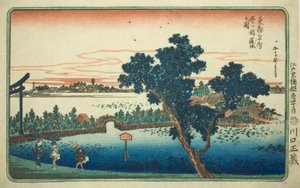 Blick auf den Lotus-Teich in Shinobugaoka (Shinobugaoka hasuike no zu), aus der Serie "Berühmte Ansichten der östlichen Hauptstadt (Toto Meisho)"
