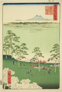 Blick nach Norden vom Asuka-Hügel, aus der Serie "Hundert berühmte Ansichten von Edo" von Utagawa Hiroshige