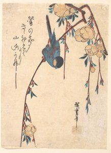 Trauerkirsche von Utagawa Hiroshige