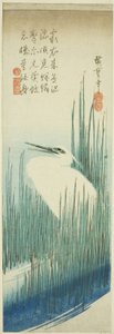 Weißer Reiher und Büsche von Utagawa Hiroshige