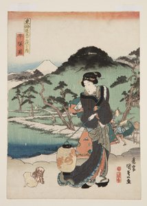 Ansicht von Hiratsuka
