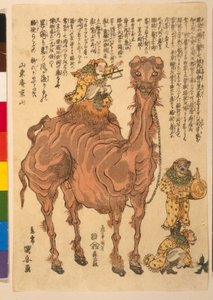 Ein Kamel, veröffentlicht 1824 von Utagawa Kuniyasu