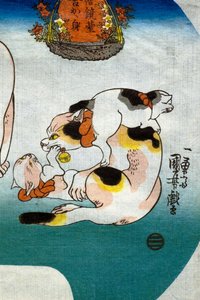 Katzen Chinesischer Tempellöwe