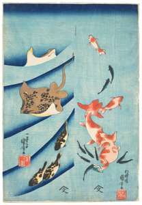 Goldfisch, Killifisch, Stachelrochen und Kugelfisch, ca. 1837 von Utagawa Kuniyoshi