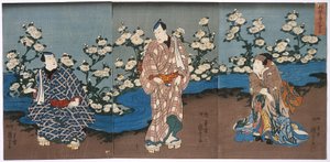 Der Schauspieler Onoe Kikugorō III betrachtet Chrysanthemen und Bach
