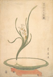 Blumenarrangement von Suisen-Narzissen in einer flachen grünen Schale von Utagawa Toyohiro