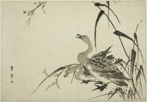 Wildgänse und Schilf von Utagawa Toyohiro