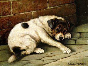 Liebenswerter Begleiter