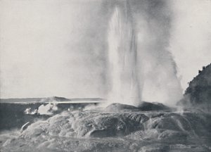 Geysir, Neuseeland, 1924 von Valentine and Sons Ltd