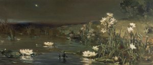 Stern in der Nacht
