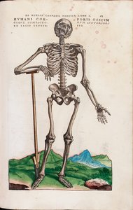 Humani Corporis Ossium, Illustration aus "De Humani Corporis Fabrica Libri Septem" von Andreas Vesalius von Venetian School