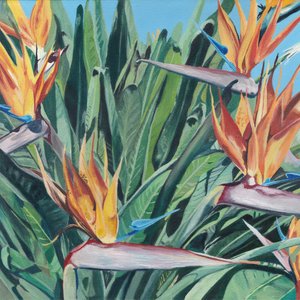 Paradiesvogelblüten von Viccy Wanliss