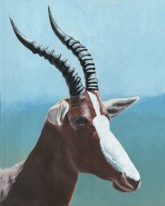 Majestätisches Blesbok-Porträt
