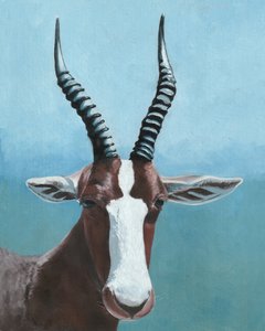 Gemaltes Blesbok-Blick