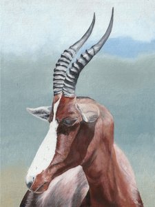 Serenes Blesbok-Porträt