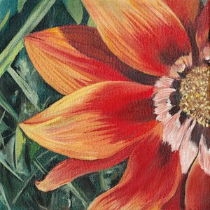 Lebendige Orange Blüte