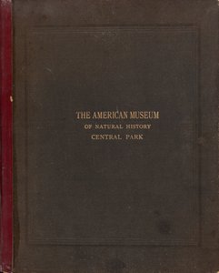 Das fotografische Album des American Museum of Natural History, Central Park, New York City