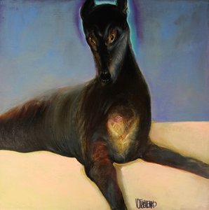 Goldäugiger Windhund