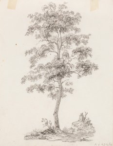 Baum von Victoria Åberg