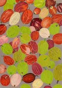 Farbenfrohe Stachelbeeren