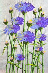 Lebendige blaue Kornblumen von Viktoriia Saunina