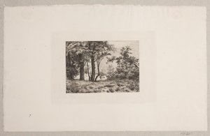 Eichen am Waldrand