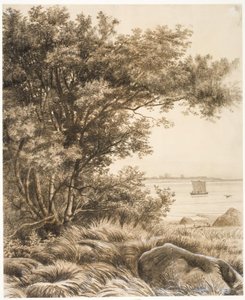 Küstenlandschaft mit hohen Bäumen. Motiv vom Esrum-See