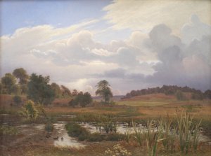 Landschaft nahe dem Wald Nordskoven, Jægerspris, Seeland von Vilhelm Kyhn