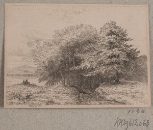 Waldrand