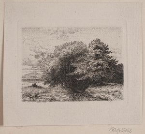 Waldrand