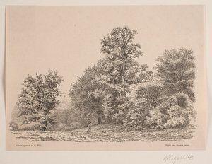 Waldrand