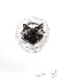 Babyball, 2015