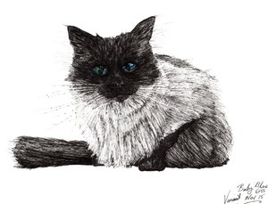 Baby blaue Augen, 2015