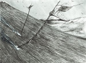 Sturmerschaffer Schwarzes Meer, 2017