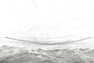 Sturmerschaffer Cape Leveque, 2023 von Vincent Alexander Booth